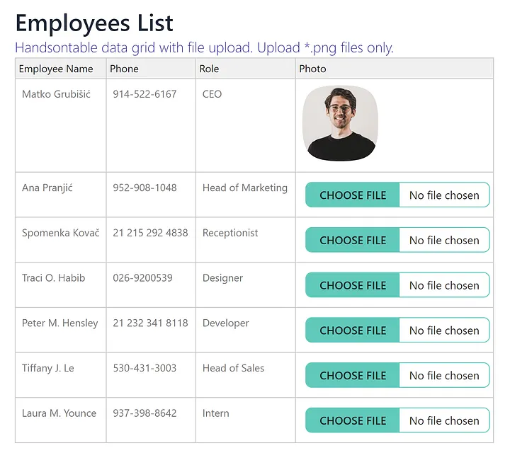 a graphic showing employees list in a data grid