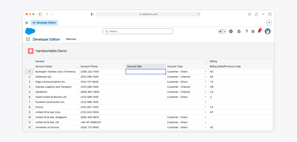 Handsontable grid editing live Salesforce Account records inside a Lightning Web Component in a Salesforce Developer Edition org